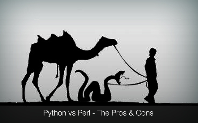 Custom Python Development company, Python Development, Hire Python developers